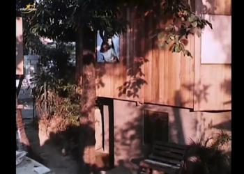 V2712008 Home Sic Home Dolphy, Babalu part2